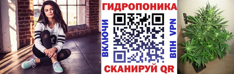 Где купить наркотики Канск Конопля МЕФ ГАШ