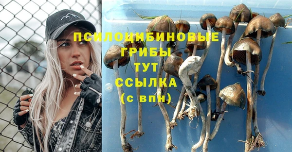 стафф Магас