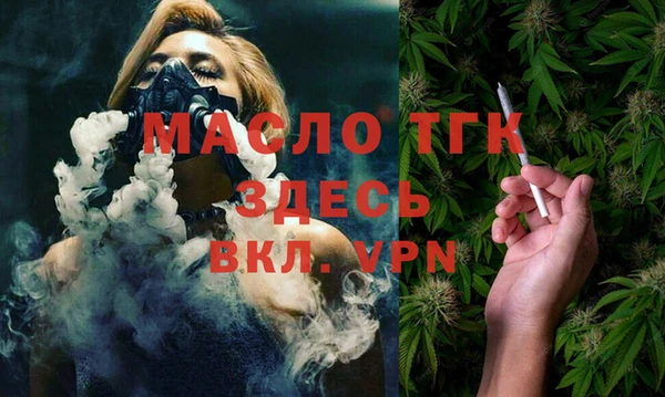 шишки Тайга