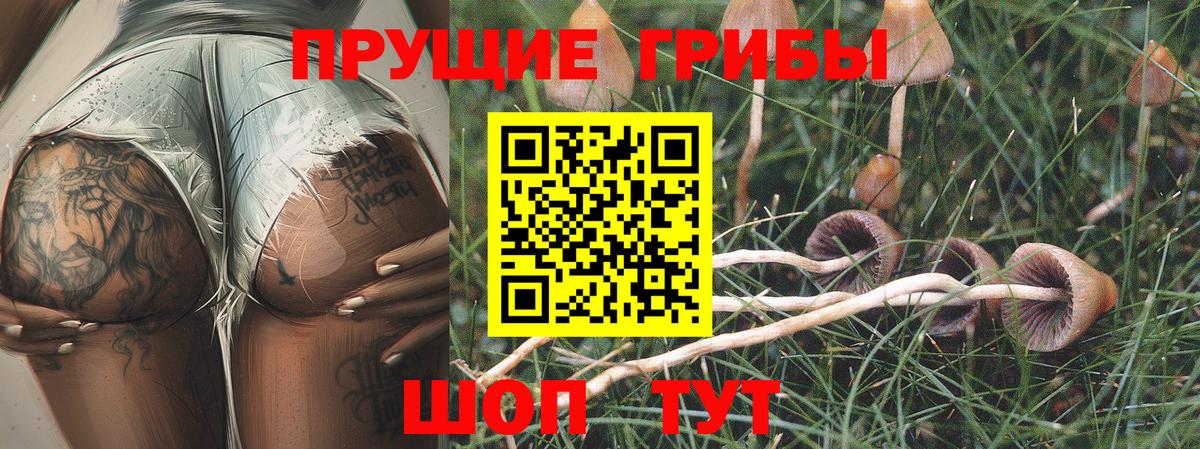 Канск  Псилоцибиновые грибы Psilocybe  Псилоцибиновые грибы мухоморы  Вход с VPN 