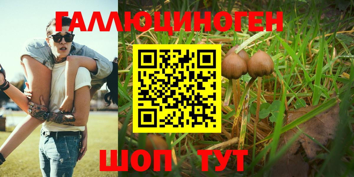 Псилоцибиновые грибы Psilocybine cubensis  Канск  Галлюциногенные грибы Cubensis 